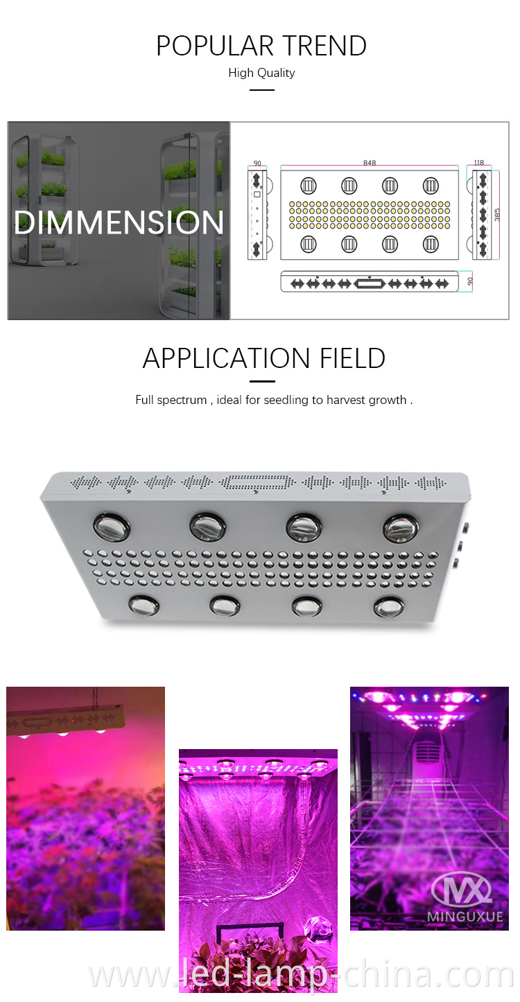 led plant lights grow 